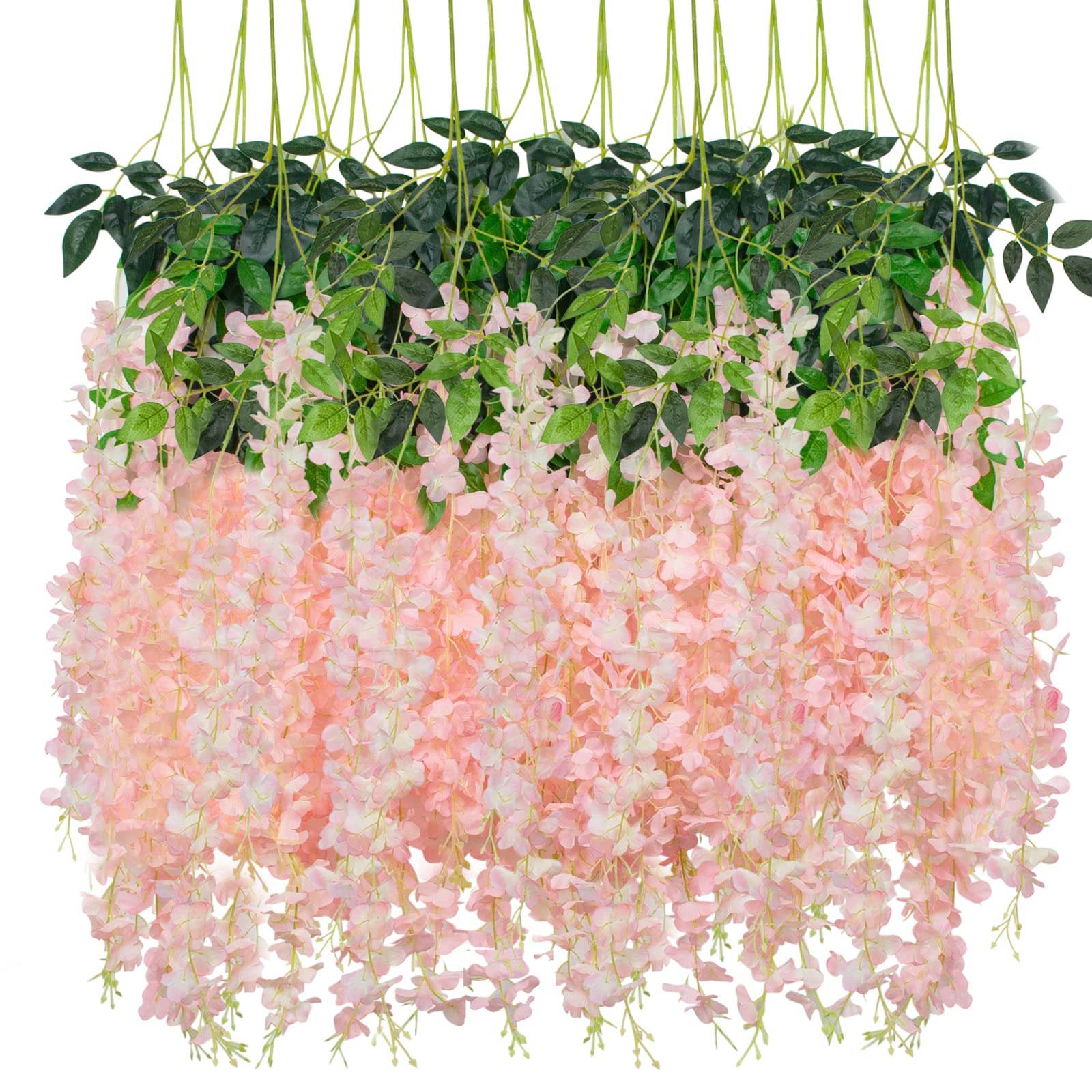 花藤　藤　紫花　/ 572 花藤 藤 紫花 / 572